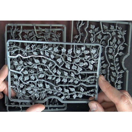 CITADEL CREEPING VINES Box