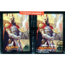 KOSZULKI NA KARTY Magic 80 szt Dragon  Maze ( 66 x 91 mm )