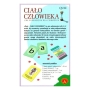 CIAŁO CZŁOWIEKA QUIZ MAŁE Alexander