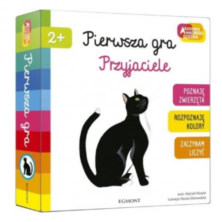 PIERWSZA GRA Przyjaciele