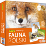 MEMORY Fauna Polski Adamigo