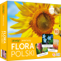 MEMORY Flora Polski Adamigo