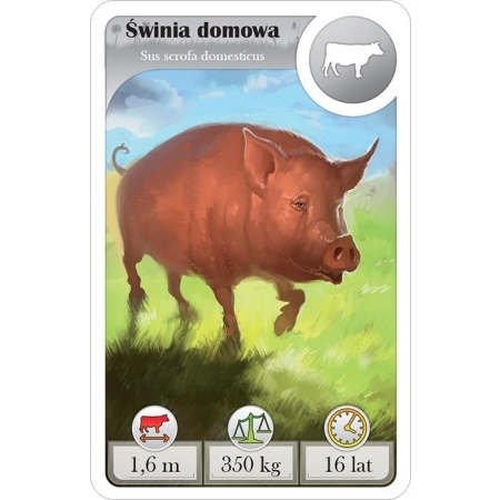 CARDLINE - Zwierzęta