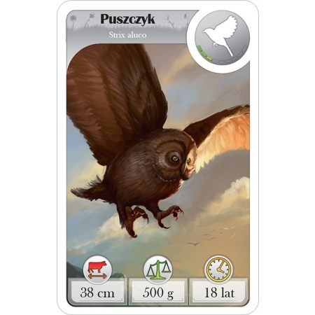 CARDLINE - Zwierzęta