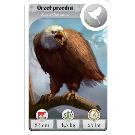 CARDLINE - Zwierzęta