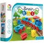 Smart Games Brain Train