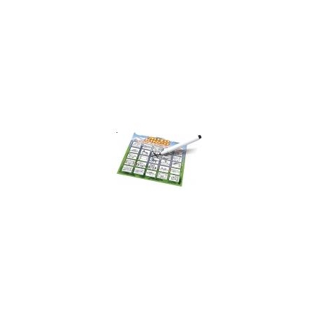 AUTO BINGO Schmidt