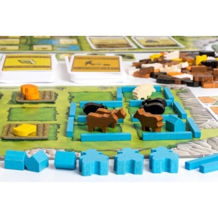 AGRICOLA ( wersja dla graczy )