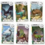 CARDLINE - Dinosaury
