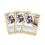 POKEMON Marnie Premium Tournament Collection