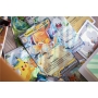 POKEMON Paldea Adventure Chest