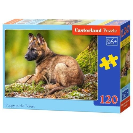 PUZZLE CASTOR 120 el. Puppy in the Forest