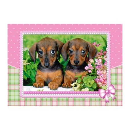 PUZZLE CASTOR 120 el. Dachshund Puppies