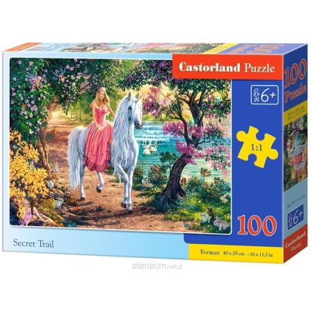PUZZLE CASTOR 100 el. Secret Trail