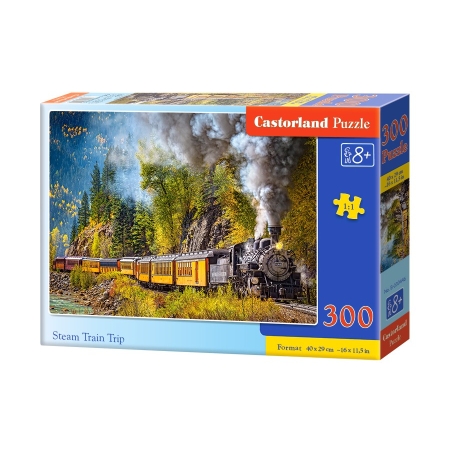 PUZZLE CASTOR 300 el Steam Train Trip