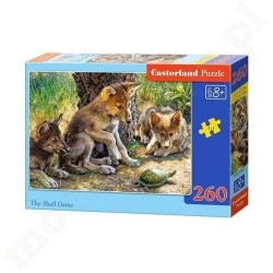 PUZZLE CASTOR 260 el. The Shell Game