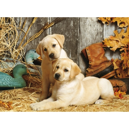 PUZZLE CLEM 1500 el. Hunting Dogs