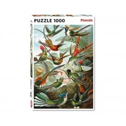 PUZZLE Piatnik 1000 el. Haeckel -  Kolibry