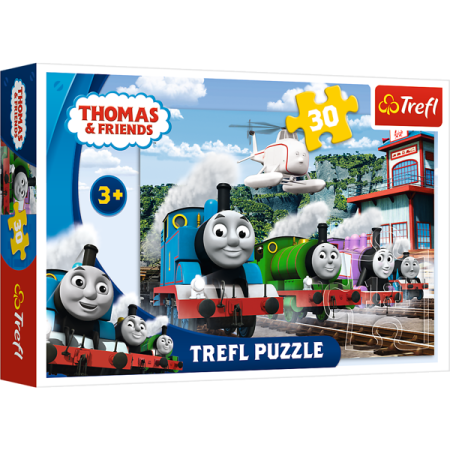 PUZZLE TREFL 30 Tomek