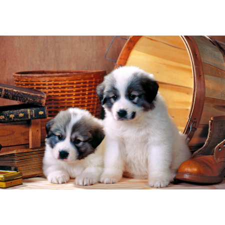 PUZZLE TREFL 160 Pieski