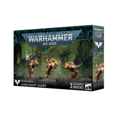 BLOOD ANGELS Sanguinary Guard Box