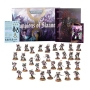 CHAOS SM Champion of Slaanesh Army Set  Box