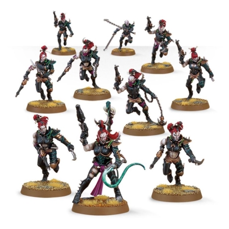 DRUKHARI Wyches Box