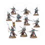 AELDARI Corsair Voidreavers Box