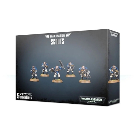 SM Scouts Box