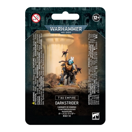 TAU EMPIRE Darksrider