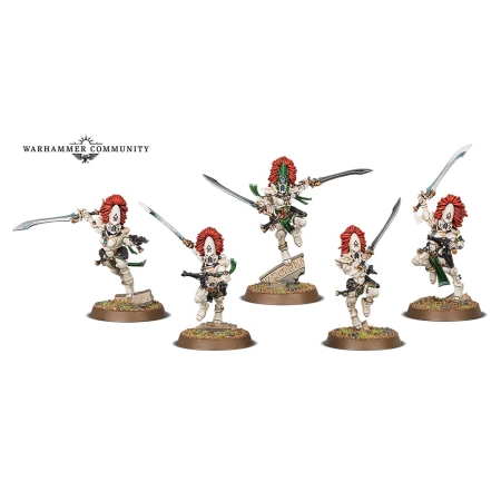 WARHAMMER 40k Blood of the Phenix Box