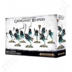 NIGHTHAUNT Grimghast Reapers Box